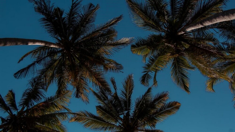 corona beach 002