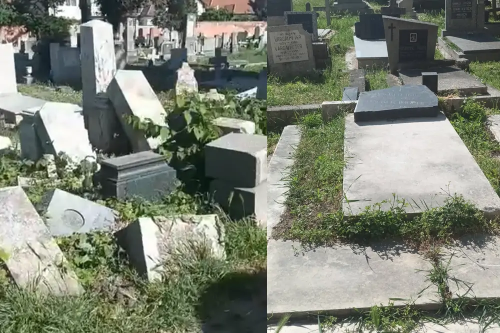 Katoličko groblje u Novom Sadu: fragment o reliktu kraha